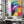 Pop Art Dolphin Art