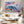 Pop Dolphin Art