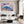 Pop Dolphin Art
