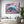 Pop Dolphin Art