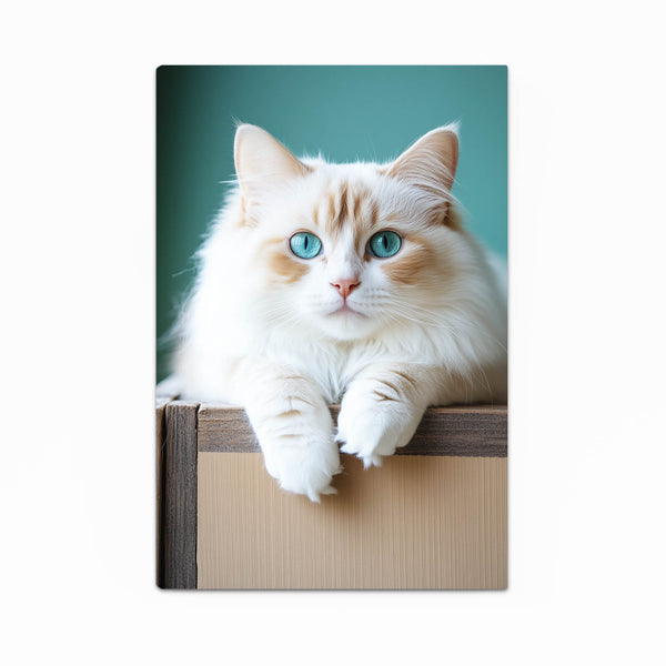 Portrait Cat Wall Art