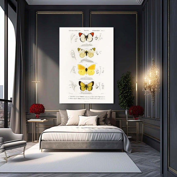 Preserved Butterfly Wall Arts | MusaArtGallery™