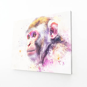 Profil Monkey Art