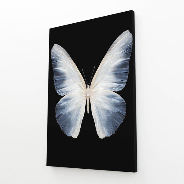 Pure White Butterfly Wall Art