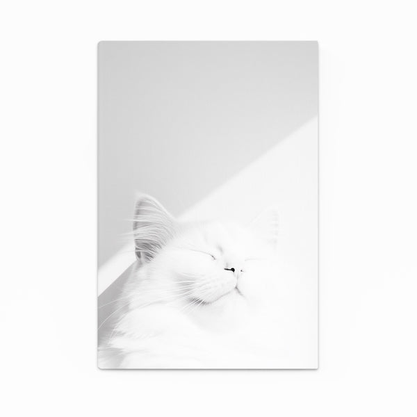 Pure White Cat Art