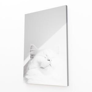 Pure White Cat Art