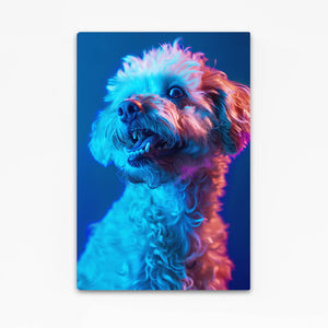 Purple Dog Art