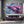 Purple Dolphin Art