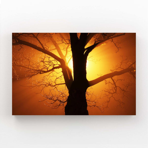 Radiant Dawn Tree Art | MusaArtGallery™