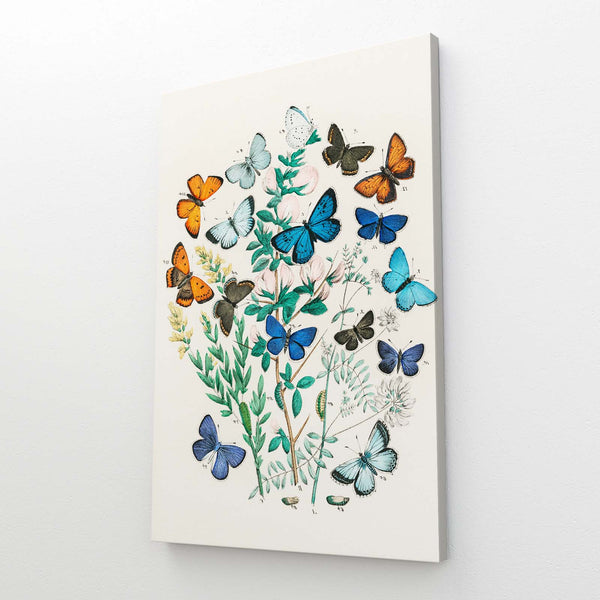 Rainbow Butterfly Wall Arts | MusaArtGallery™