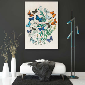 Rainbow Butterfly Wall Arts | MusaArtGallery™