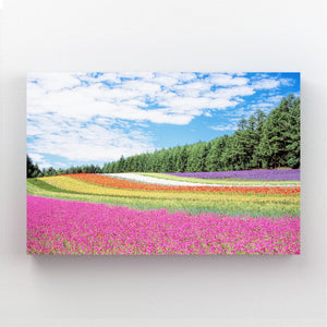 Rainbow Field Landscape Wall Art | MusaArtGallery™