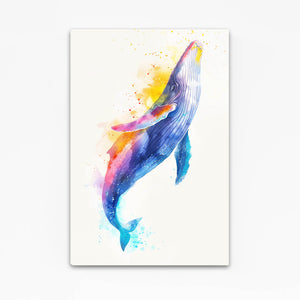 Rainbow Whale Art | MusaArtGallery™