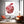 Red And White Apple Art
