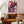 Red Koi Cherry Blossom Pond Wall Art