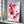 Red Pink Cherry Blossom Flower Art