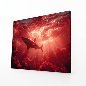 Red Shark Art
