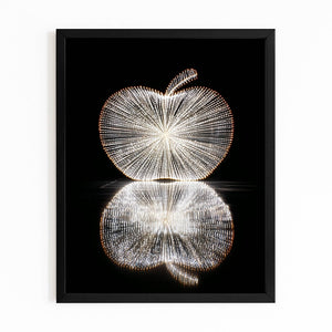 Reflected Apple Art