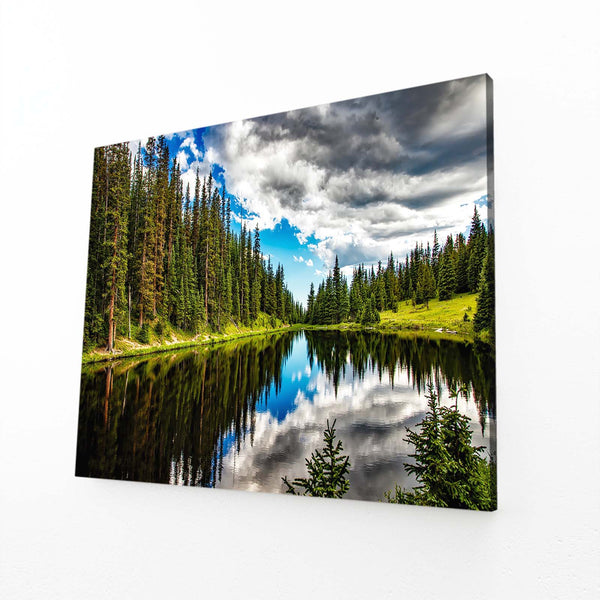 Reflective Pond Tree Art | MusaArtGallery™