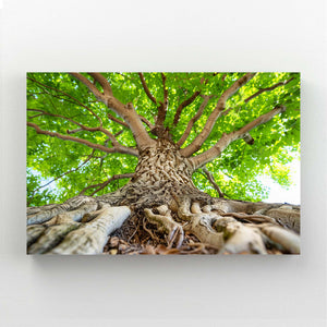 Roots of Life Tree Art | MusaArtGallery™