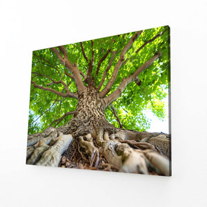 Roots of Life Tree Art | MusaArtGallery™