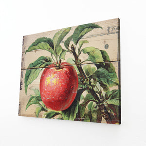 Rustic Apple Art