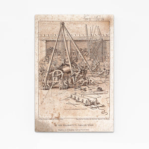 Rustic Leonard Da Vinci
