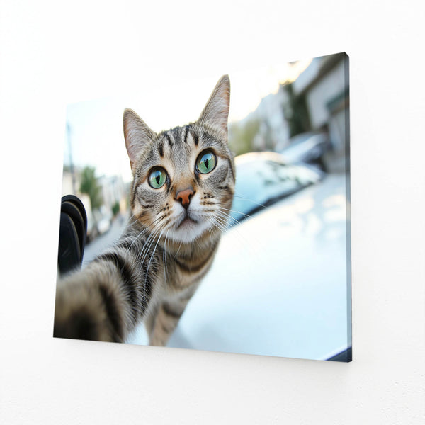 Selfie Cat Wall Art
