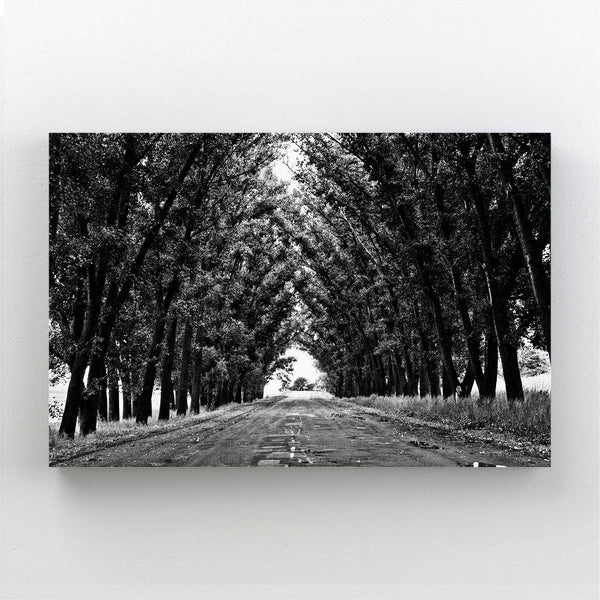 Shadowed Path Tree Art | MusaArtGallery™