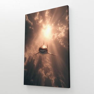 Shark Canvas Photography