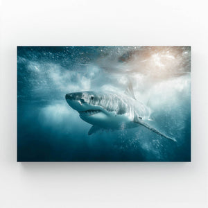Shark Wall Art