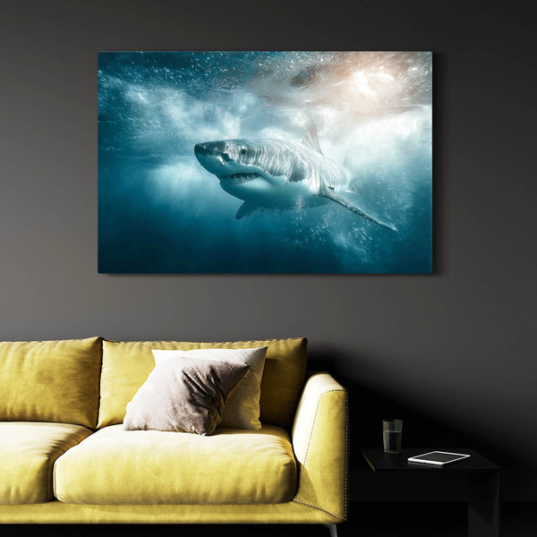 Shark Wall Art