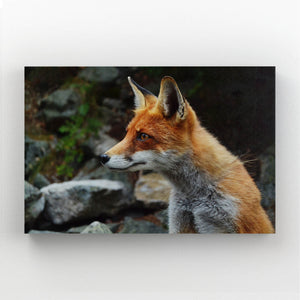 Simple Fox Art  | MusaArtGallery™