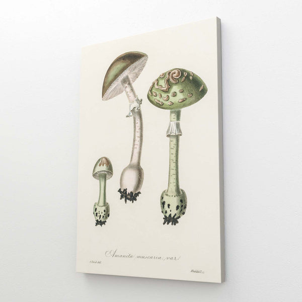 Simple Mushroom Art | MusaArtGallery™