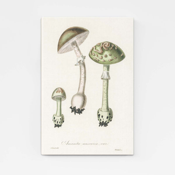 Simple Mushroom Art | MusaArtGallery™