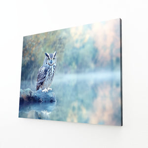 Sitting Owl Wall Art