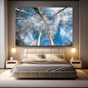 Skyward Birch Tree Art | MusaArtGallery™