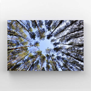 Skyward Pines Tree Art | MusaArtGallery™