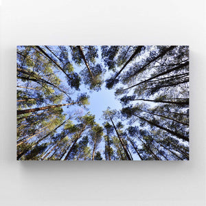 Skyward Pines Tree Art | MusaArtGallery™