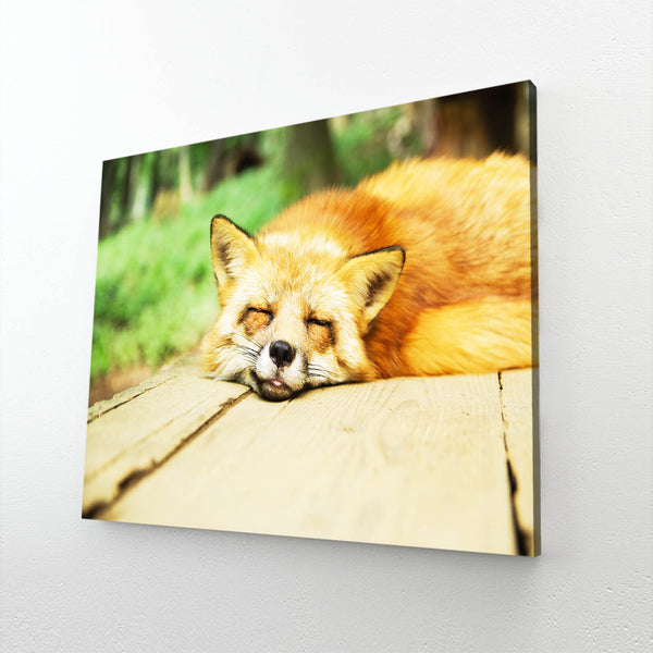 Sleeping Fox Art   | MusaArtGallery™