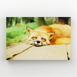 Sleeping Fox Art   | MusaArtGallery™