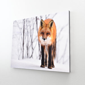 Snow Fox Art  | MusaArtGallery™