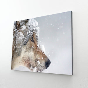 Snowy Face Wolf Art  | MusaArtGallery™