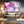 Soft Pink Cherry Blossom Flower Art