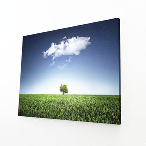 Solitary Green Tree Art | MusaArtGallery™