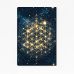 Space Flower Of Life Art
