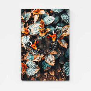 Spider Butterfly Wall Art | MusaArtGallery™