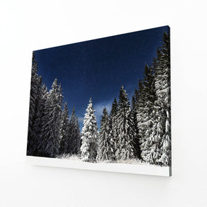 Starry Night Tree Art | MusaArtGallery™