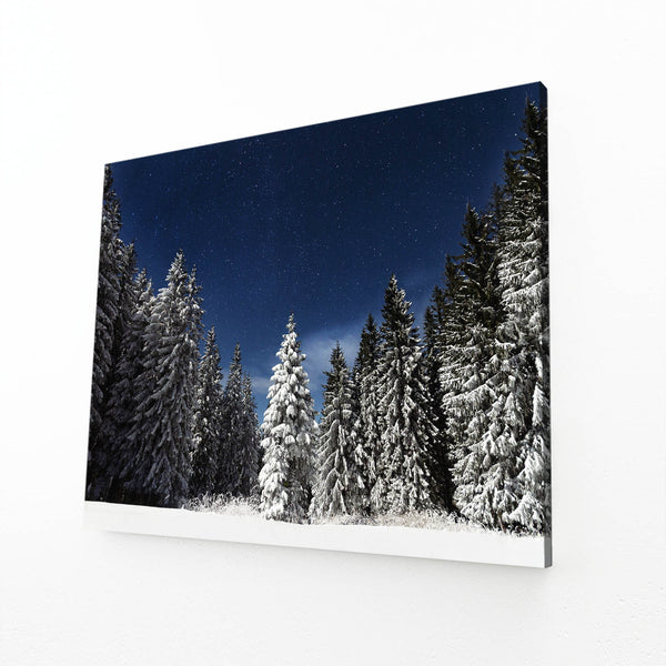 Starry Night Tree Art | MusaArtGallery™