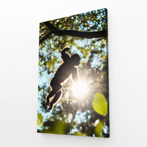 Sun Monkey Art